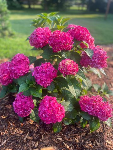 875 161st Street, Hammond, WI 54015