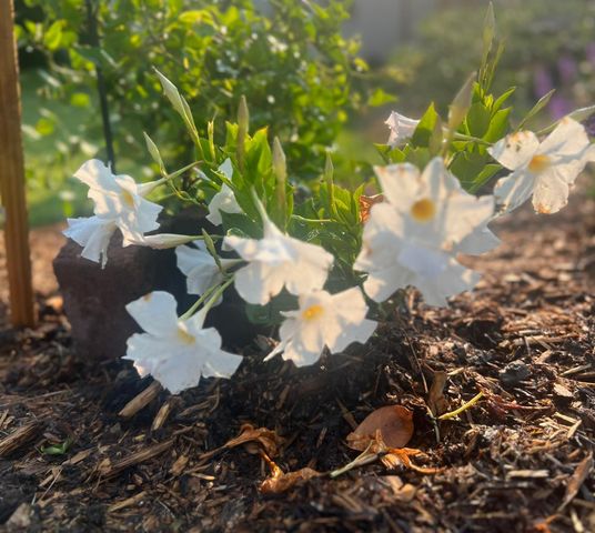 875 161st Street, Hammond, WI 54015