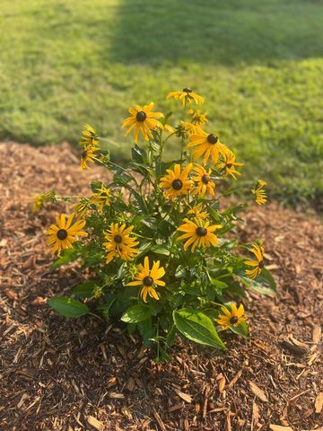 875 161st Street, Hammond, WI 54015