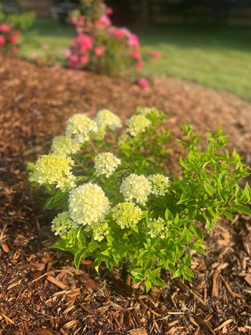 875 161st Street, Hammond, WI 54015