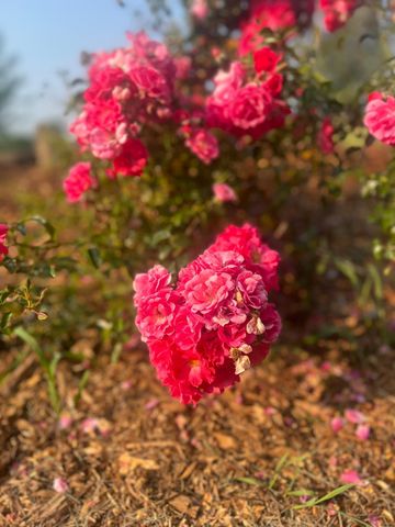 875 161st Street, Hammond, WI 54015