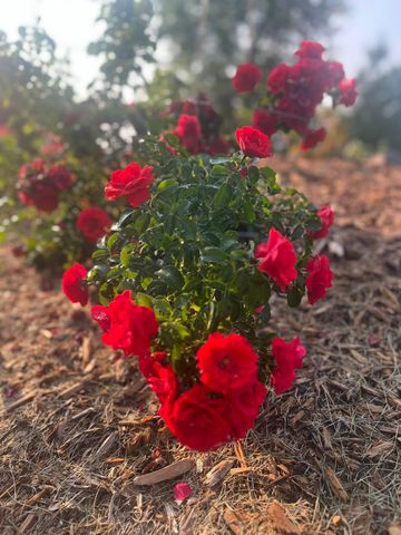 875 161st Street, Hammond, WI 54015