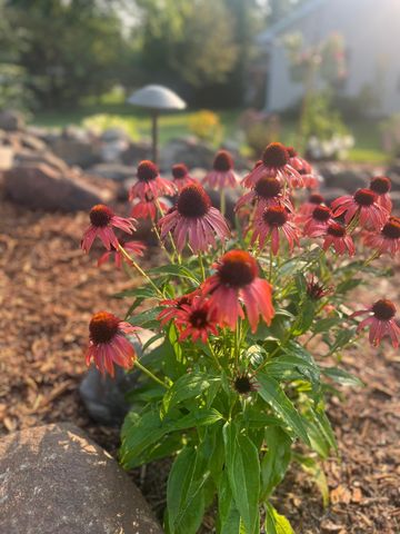 875 161st Street, Hammond, WI 54015