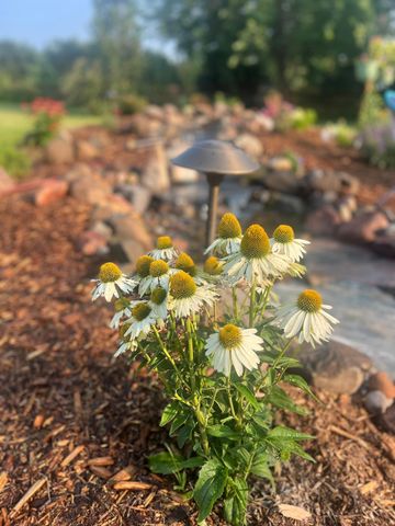 875 161st Street, Hammond, WI 54015