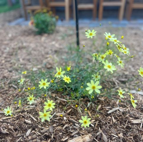 875 161st Street, Hammond, WI 54015