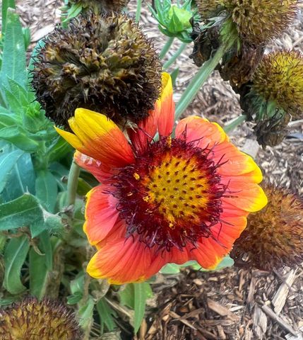 875 161st Street, Hammond, WI 54015