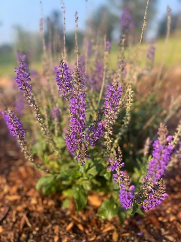 875 161st Street, Hammond, WI 54015