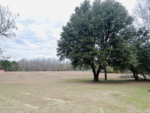 1390 Brantley Avenue, Summerton, SC 29148