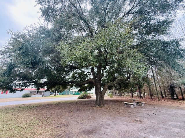 1390 Brantley Avenue, Summerton, SC 29148