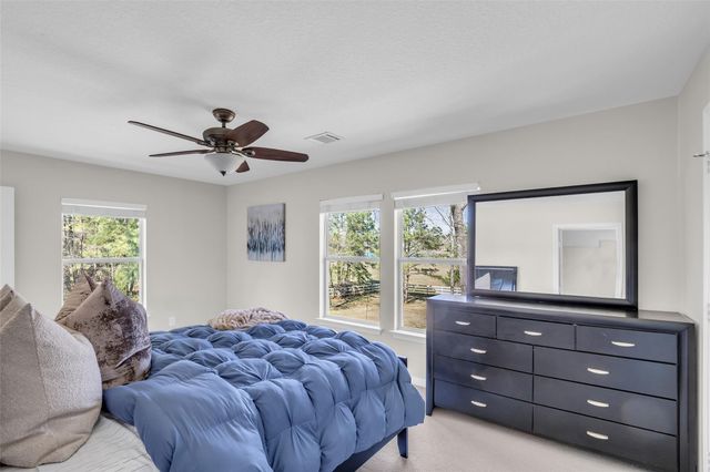 10522 Serenity Sound, Magnolia, TX 77354