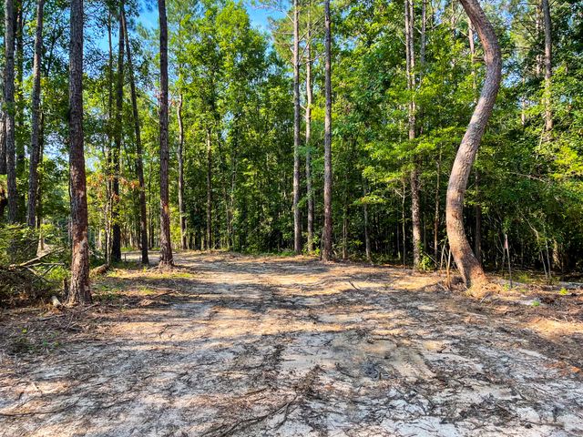0 Backway Road, Lincolnton, GA 30817