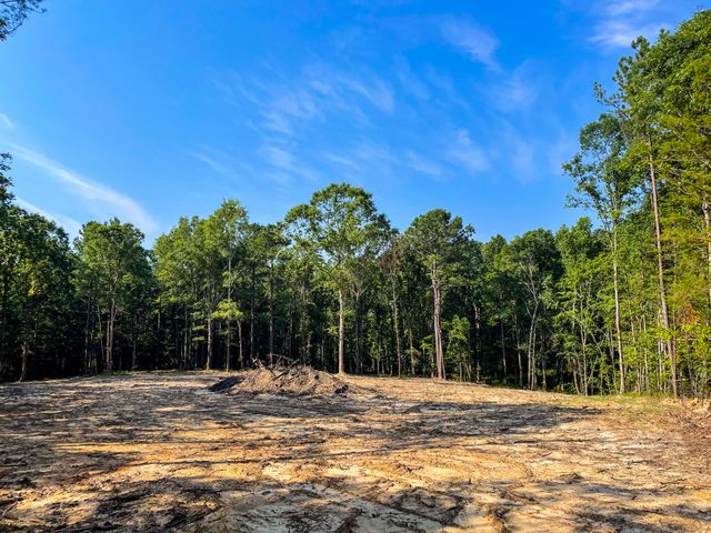 0 Backway Road, Lincolnton, GA 30817