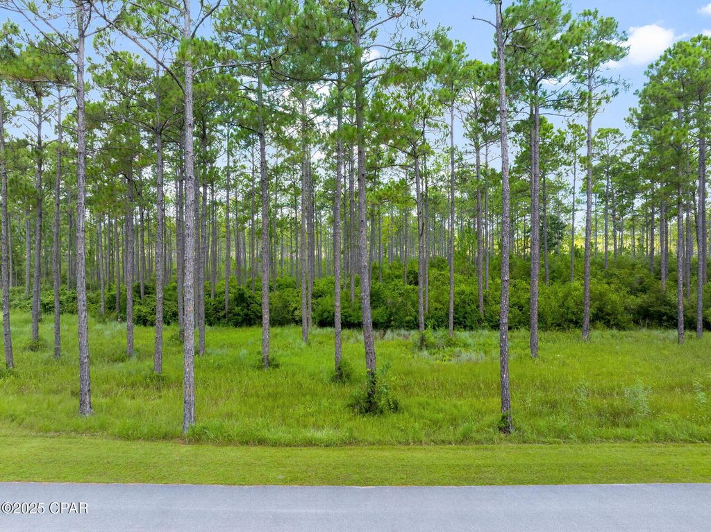 Image 3 of property listing at 8625 Preservation Drive, Panama City Beach, FL 32413