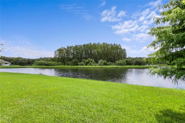 2160 SECRET COVE, Odessa, FL 33556