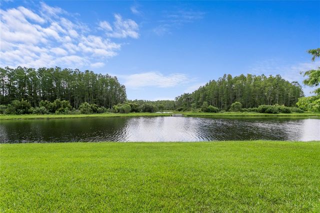 2160 SECRET COVE, Odessa, FL 33556