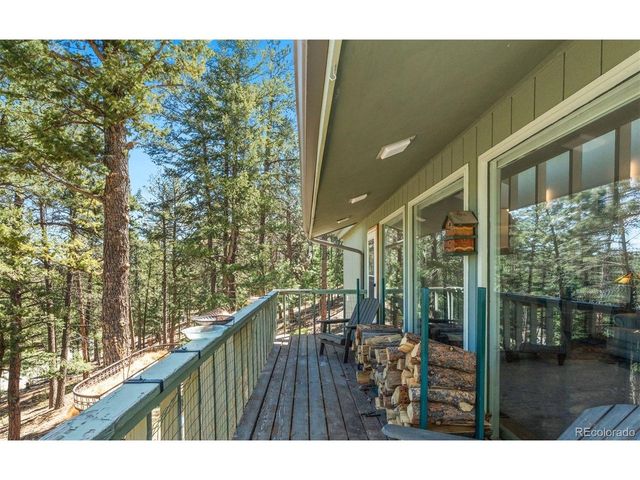 20 Long Ridge Dr, Bailey, CO 80421
