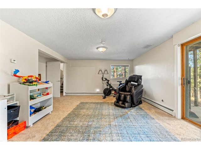 20 Long Ridge Dr, Bailey, CO 80421