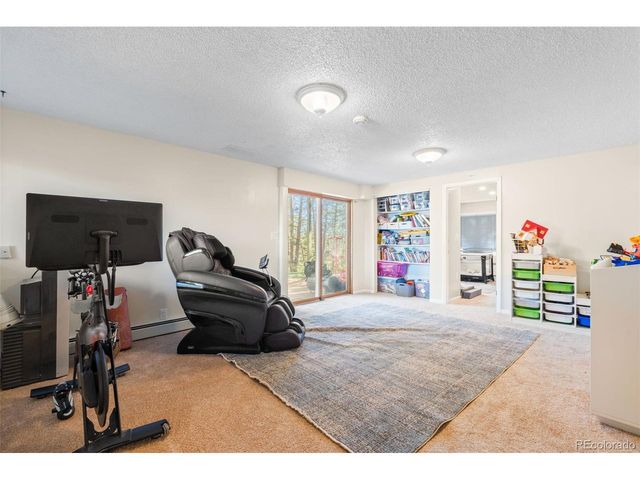 20 Long Ridge Dr, Bailey, CO 80421