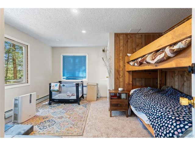 20 Long Ridge Dr, Bailey, CO 80421