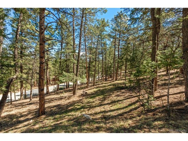 20 Long Ridge Dr, Bailey, CO 80421