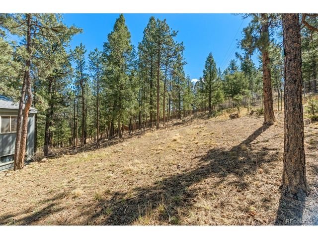 20 Long Ridge Dr, Bailey, CO 80421