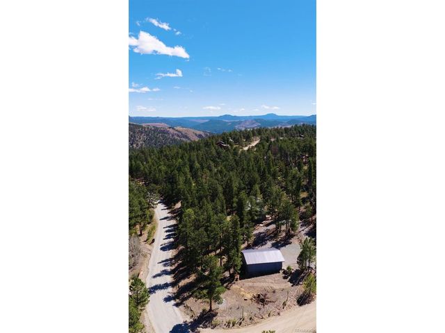 20 Long Ridge Dr, Bailey, CO 80421