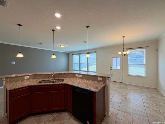 524 Landmark Falls, Cibolo, TX 78108
