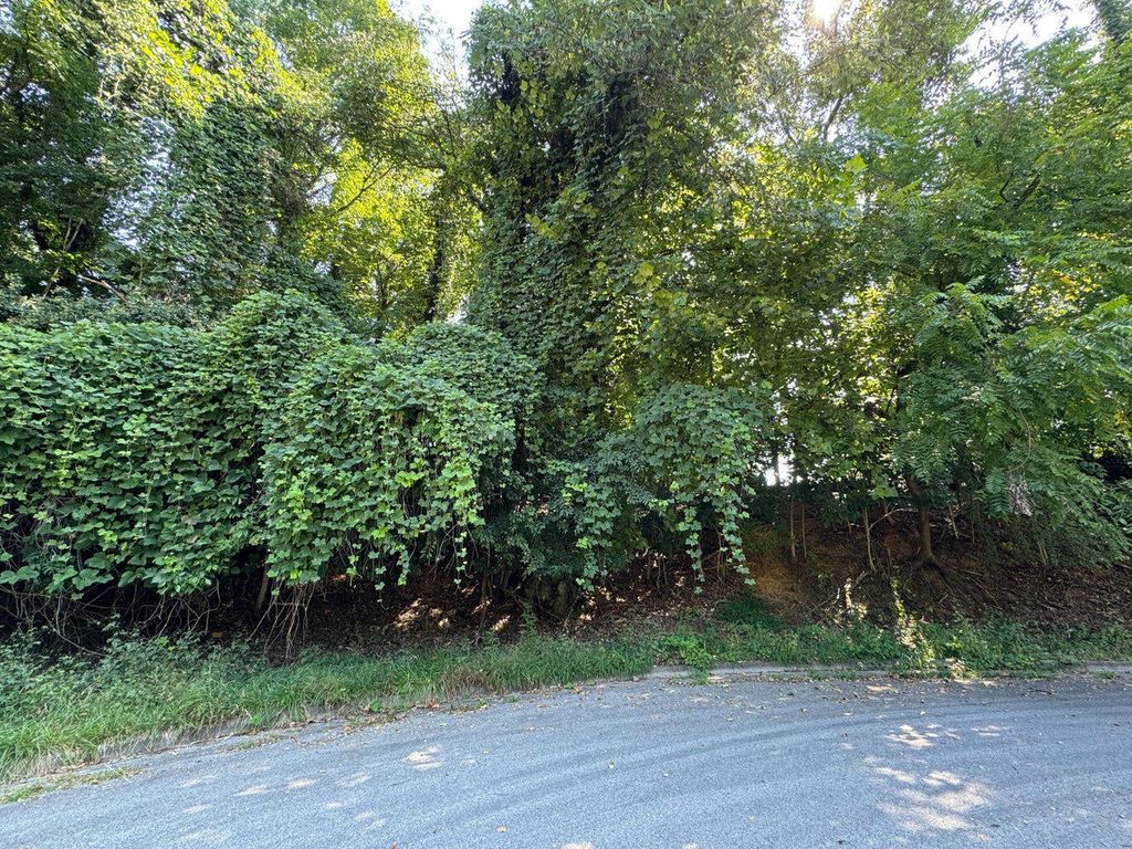 2620 Beverly BLVD, Roanoke, VA 24015