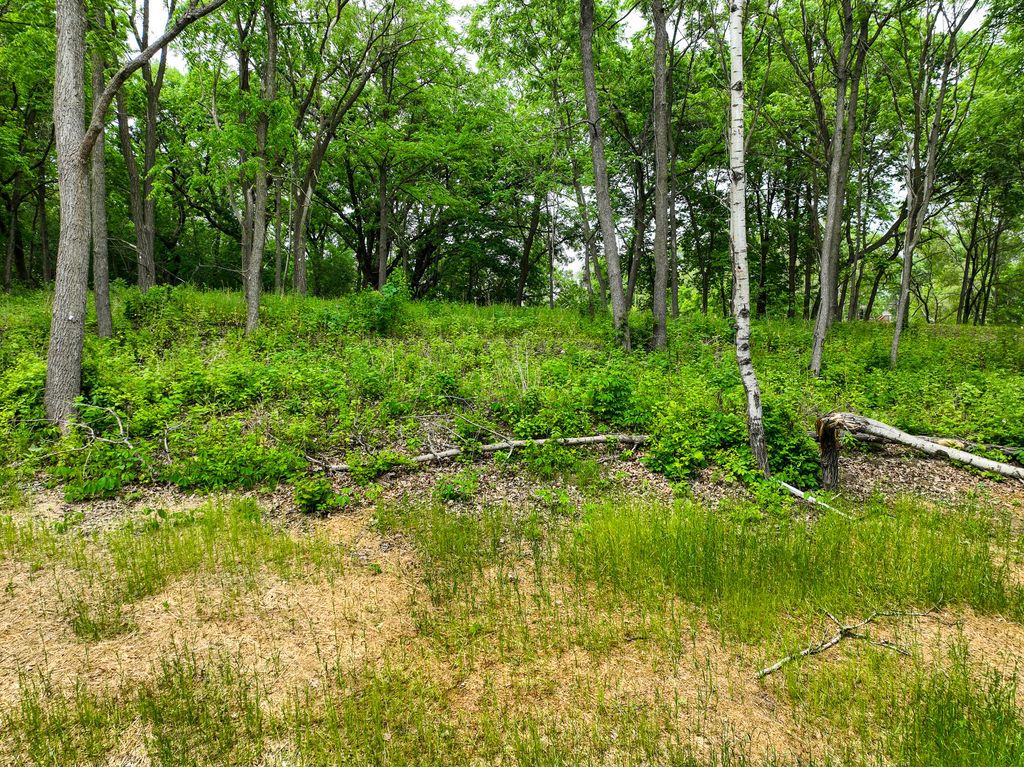 2685 Woodcliffe Trl, Hastings, MN 55033 — photo 2