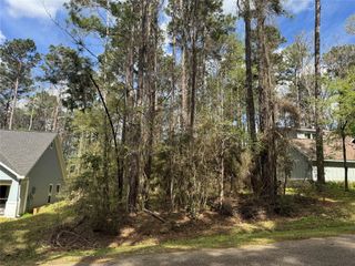 30 Green Tree Drive, Coldspring, TX 77331