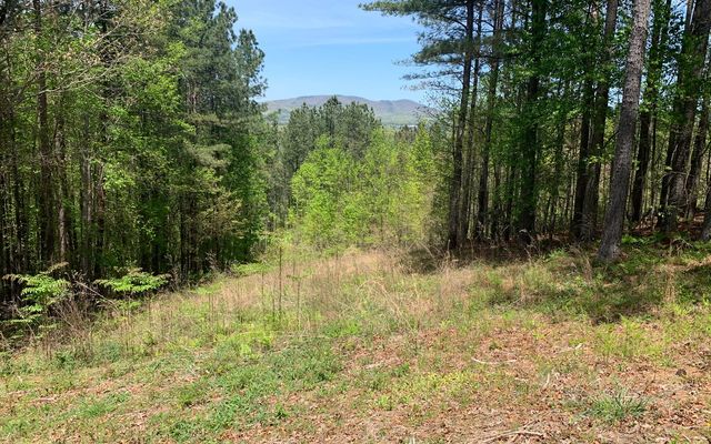 Lot 28 Loftis Mountain, Blairsville, GA 30512