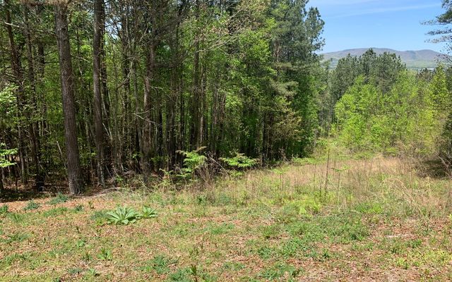 Lot 28 Loftis Mountain, Blairsville, GA 30512