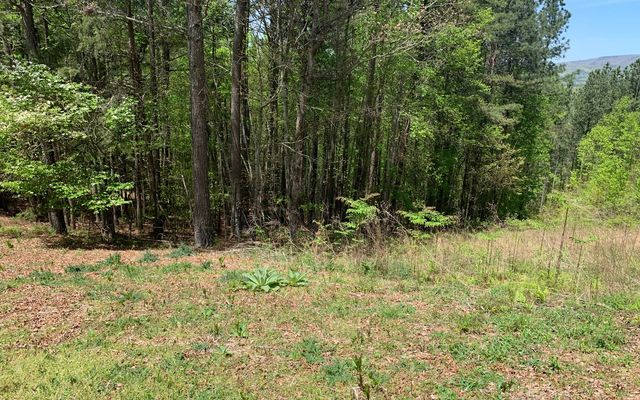 Lot 28 Loftis Mountain, Blairsville, GA 30512
