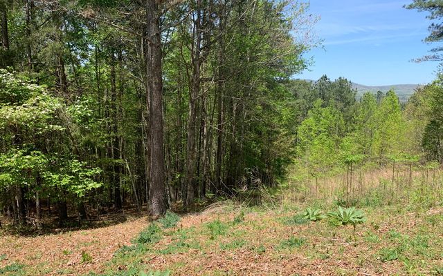 Lot 28 Loftis Mountain, Blairsville, GA 30512