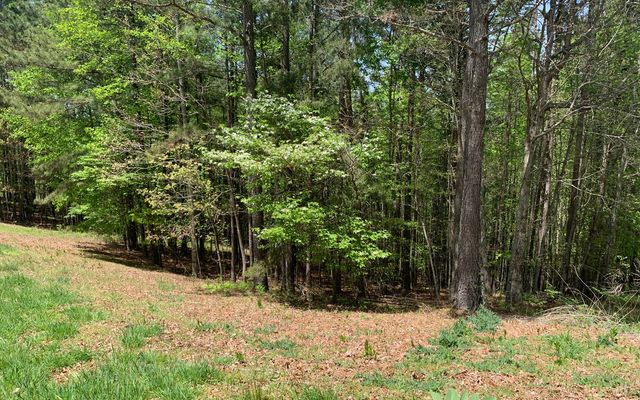 Lot 28 Loftis Mountain, Blairsville, GA 30512