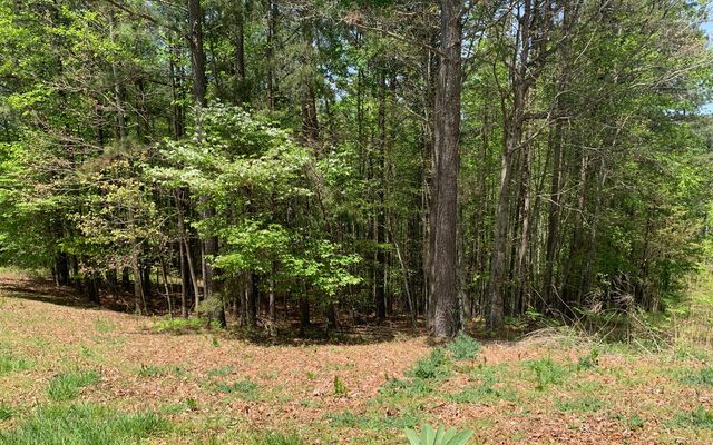 Lot 28 Loftis Mountain, Blairsville, GA 30512