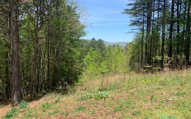 Lot 28 Loftis Mountain, Blairsville, GA 30512