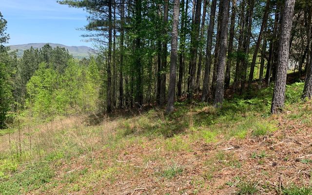 Lot 28 Loftis Mountain, Blairsville, GA 30512