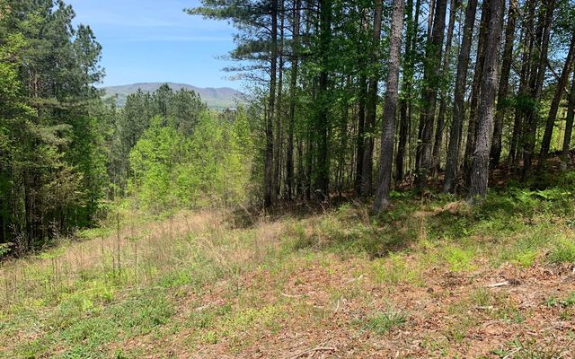 Lot 28 Loftis Mountain, Blairsville, GA 30512