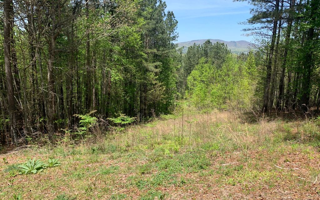 Lot 28 Loftis Mountain, Blairsville, GA 30512