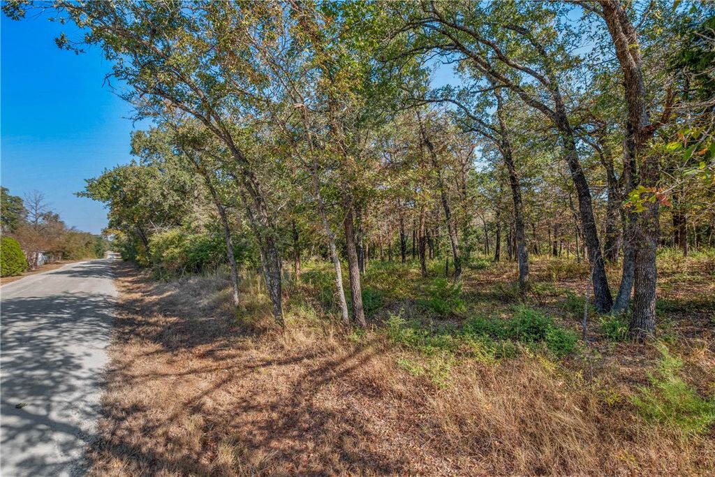 TBD Vaughn Lane, Hearne, TX 77859 — photo 3