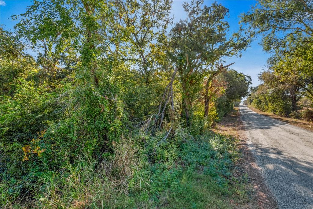 TBD Vaughn Lane, Hearne, TX 77859 — photo 4
