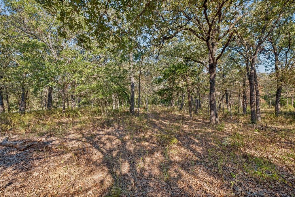 TBD Vaughn Lane, Hearne, TX 77859 — photo 5
