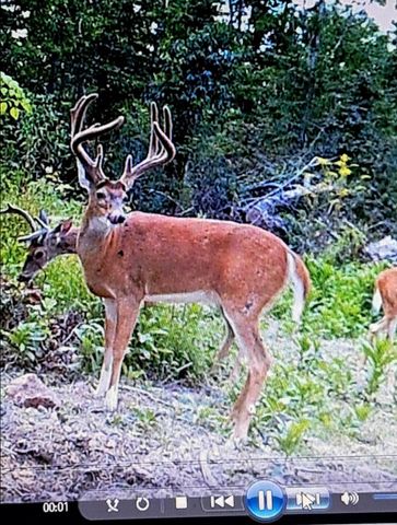 1105 Pendleton Branch Road, Salt Lick, KY 40371