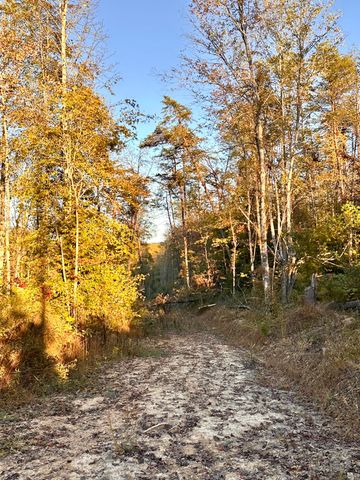 1105 Pendleton Branch Road, Salt Lick, KY 40371