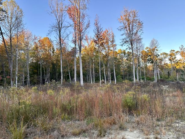 1105 Pendleton Branch Road, Salt Lick, KY 40371