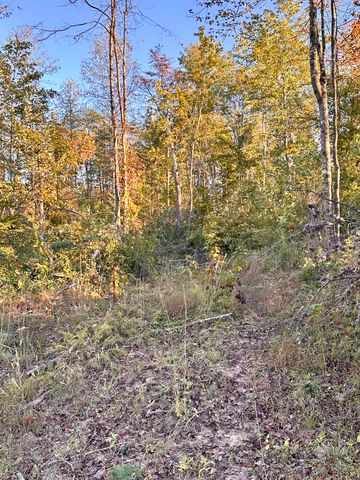 1105 Pendleton Branch Road, Salt Lick, KY 40371