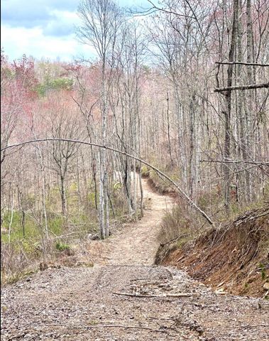 1105 Pendleton Branch Road, Salt Lick, KY 40371