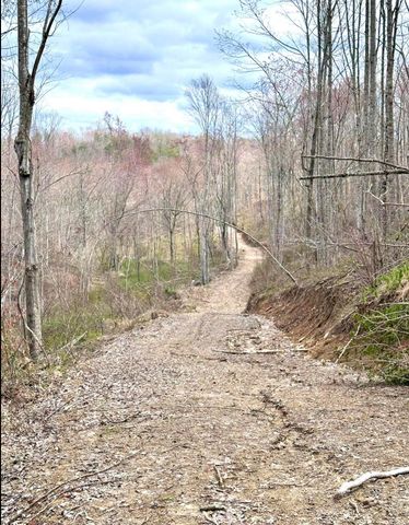 1105 Pendleton Branch Road, Salt Lick, KY 40371