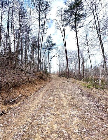 1105 Pendleton Branch Road, Salt Lick, KY 40371